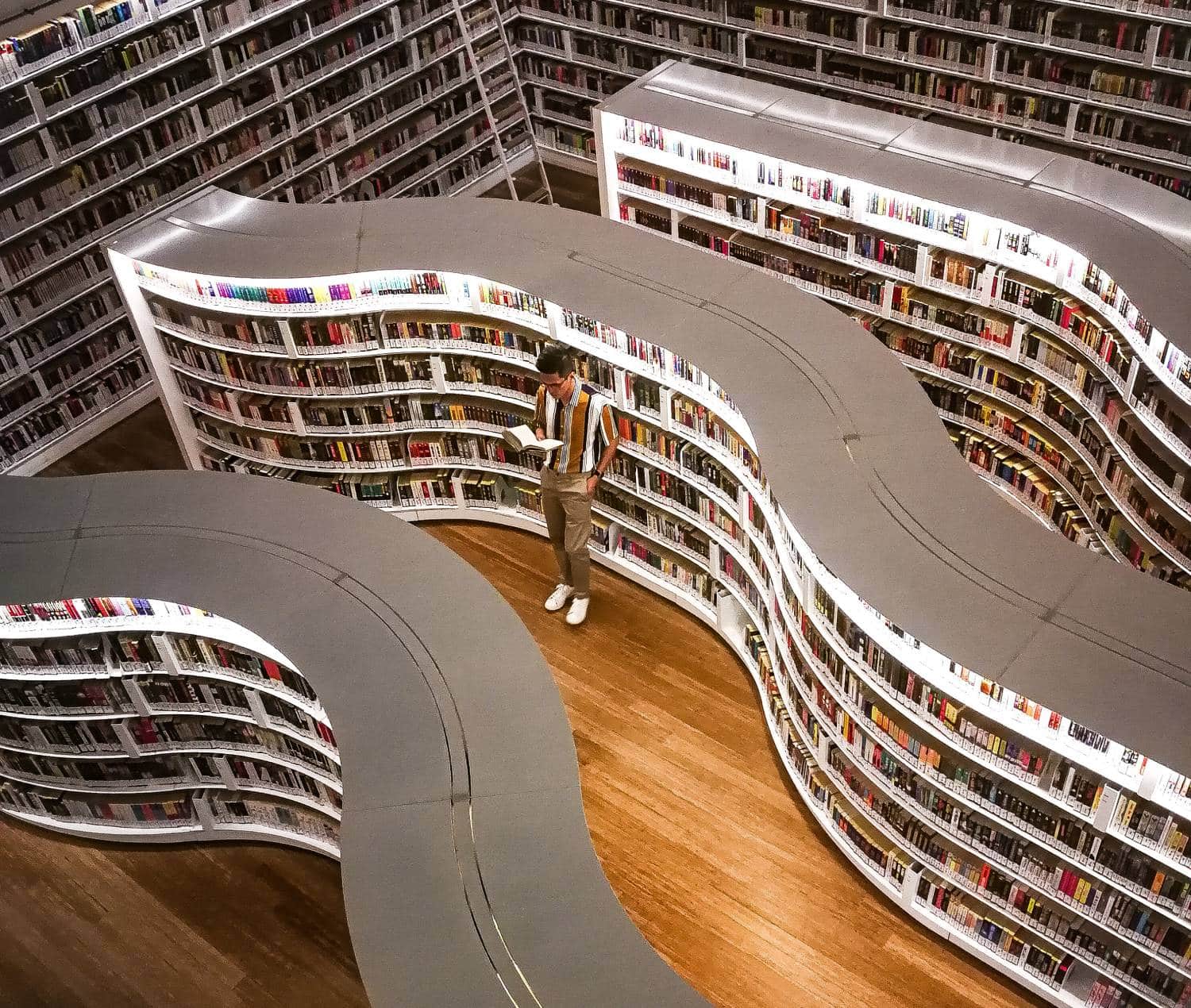 Medien und Inhalte übersichtlich in einer Medienbibliothek verwalten