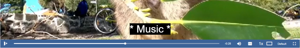 Background noise transcription